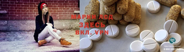 гашик Ладушкин