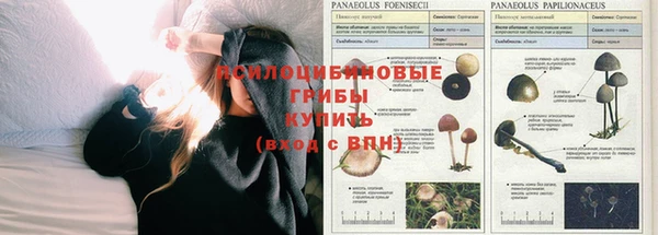 дживик Лабытнанги