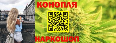 jwh Ставрополь