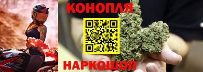 jwh Ставрополь