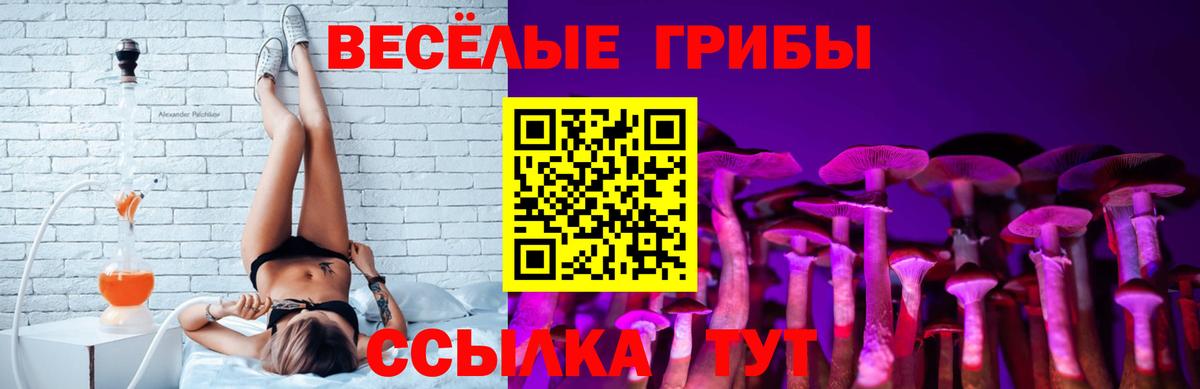 Галлюциногенные грибы мицелий  Вход с VPN  сколько стоит  Псилоцибиновые грибы мухоморы  Тутаев 