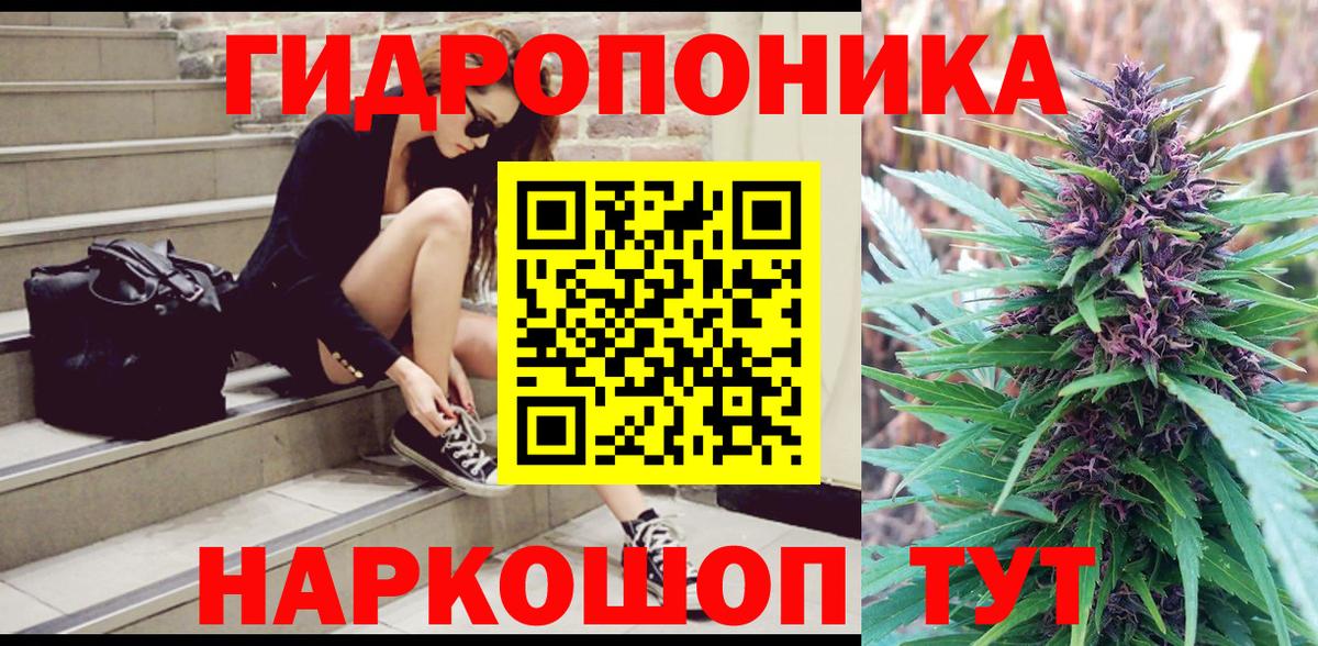 Бошки марихуана Bruce Banner Тутаев